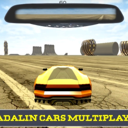 MADALIN MULTIPLAYER